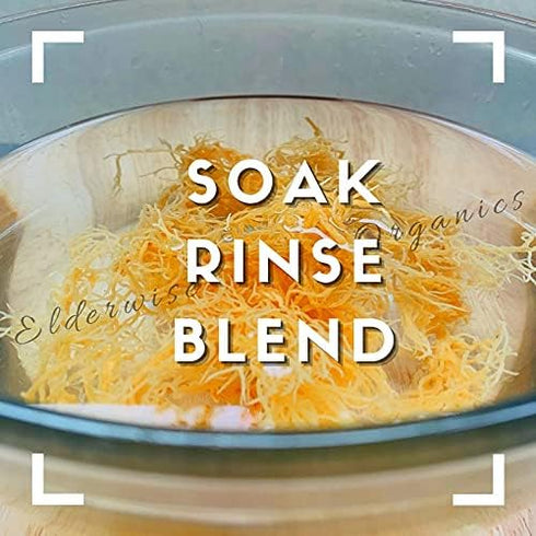 Sea Moss | WILDCRAFTED | 2.5 oz Makes 64 oz of Gel | Raw + Non GMO | Sundried | MINERAL RICH | Saint Lucia Sea Moss |
