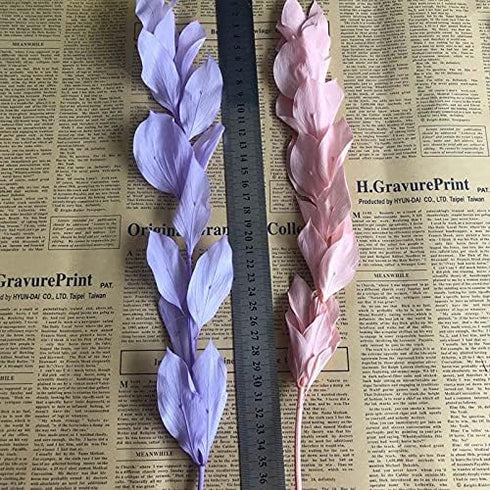 Artist Unknown 5PCS/35-40CM Zamihalaa Natural Dried Orange Leaves Preserved Lily Flowers Bouquet,Dracaena Reflexa