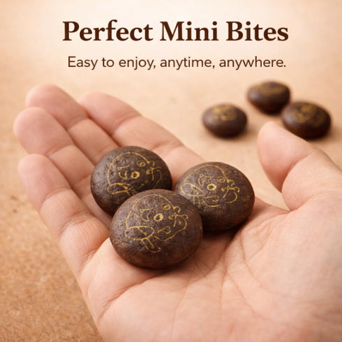 35g Pack Pack 5 Zyluc Mini Black Crackers Orange Flavored Snack with Cocoa & Citrus Blend On-the-Go Crisp Texture