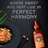 12oz, 1 Pack 2oz Melindas Thai Sweet Chili Sauce - Sweet and Mild Asian Chili Sauce Made with Whole Fresh Ingredients