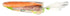 365 32 oz by Whole Foods Market, Organic Rainbow Carrots, (us)