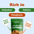 1 Food to Live Organic Imported Raw Almonds, Pound Non-GMO, Whole, Raw, No Shell, Unpasteurized, Unsalted, Vegan