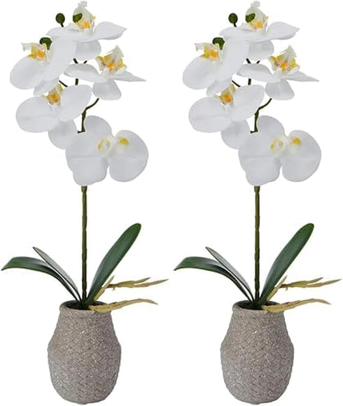 Mikasa Artificial Orchid in Pot, Real Touch Phalaenopsis Orchid, Embossed Weave Cement