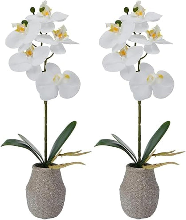 Mikasa Artificial Orchid in Pot, Real Touch Phalaenopsis Orchid, Embossed Weave Cement