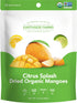Pack 2.8oz 4pack Earthside Farms Dried Organic Mango Variety Original Citrus Splash Lime Kick and Peach Paradise Gluten