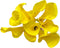Cassiolina 10 Stems Fresh Calla Lily Flowers Elegant Long Stem Flower Bouquet for