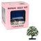 Eve's Garden, Inc Eve's Jasmine Bonsai Seed Kit, Flowering, Complete Kit to Grow Jasmine Bonsai