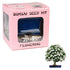 Eve's Garden, Inc Eve's Jasmine Bonsai Seed Kit, Flowering, Complete Kit to Grow Jasmine Bonsai