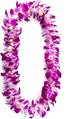 Fresh Perishable Orchid Flower S-LEI OrchidClubUSA Sunne Tropical (PURPLE Sonia, NATURAL SINGLE