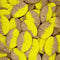 The Penny Candy Store 1 Pound BUBS Banana Toffee Caramel Ovals - Swedish Candy - Sweet