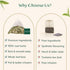 (100 Count) VAHDAM, Ginger Mint Green Tea Bags High Grown Green Tea with Raw Ginger | Medium Caffeine | Non GMO, Gluten