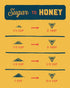 16 oz 100% Local Hive Wildflower Raw & Unfiltered | Pure U.S. Honey | Natural Sweetener Sourced from American Bees