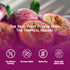 100% 16.9 oz (500 mL) Pack 12 VINUT Passion Fruit Juice, No Added Sugar, Not From Concentrate, fl Can