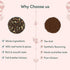 Set 3 VAHDAM, Oprah's Favorite Tea Gift | Premium Chai Teas in Golden Tin Caddy Gift Box | Exotic Chai Tea Blends |