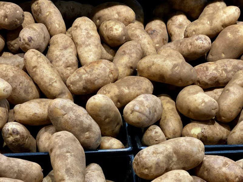 Generic RUSSET 20 LBS POTATOES | Fresh Produce | Bulk | Grown in USA