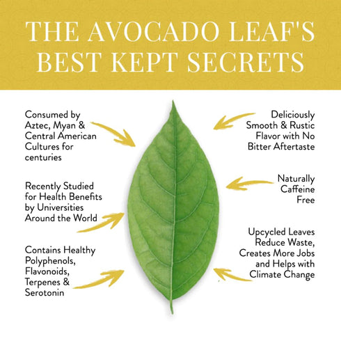 Avocado Leaf Lemon Tea Blend, Caffeine-Free Herbal Tea, Immune Booster, 15 Tea Bags - 30 Servings (Non-GMO)