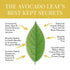 Avocado Leaf Lemon Tea Blend, Caffeine-Free Herbal Tea, Immune Booster, 15 Tea Bags - 30 Servings (Non-GMO)