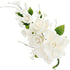 Global Sugar Art Premium Rose Spray, Large, White, 1 Count by Chef