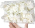 Miami FRESH CUT FLOWERS Orchid Loose Bloom OrchidClub USA by Sunne Tropical