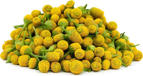 Generic Buzz Button Flowers 50 Pack Cocktail Garnish, Mixology, Culinary Sensation, Tingling Mouthfeel