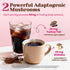40 Venture Pal Slim Mushroom Coffee, Instant Coffee with Berberine, Cinnamon, Yerba Mate & Turmeric, Supports Weight