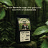 (8.8 oz) Set Kopi Luwak Civet Coffee Beans - World's Most Expensive Coffee, Wild-Harvested, From Gayo Sumatra