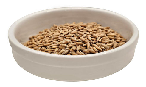 5lb Home Brew Ohio Malted Oats Grain