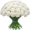 FlowerPrime 50 White Carnations - Fresh Natural Cut Flowers