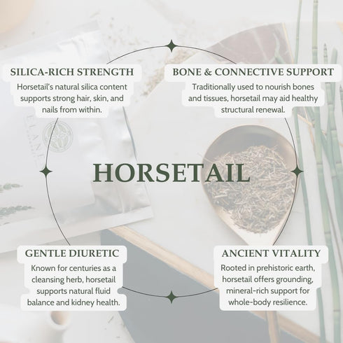 Horsetail 4 oz. (113g), Organic Herb USDA Certified Organic Cola de Caballo Hierba, Horse Tail Plant Tea, Shave Grass