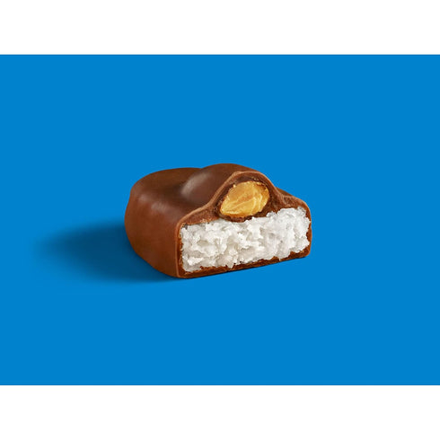 20.1 oz (Pack 2) ALMOND JOY Coconut and Almond Chocolate Snack Size, Candy Jumbo Bag
