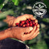 Julius Meinl 1kg 35oz, : "Espresso Arabica," Medium Roasted Coffee Beans, Premium Collection, / Imported from Vienna