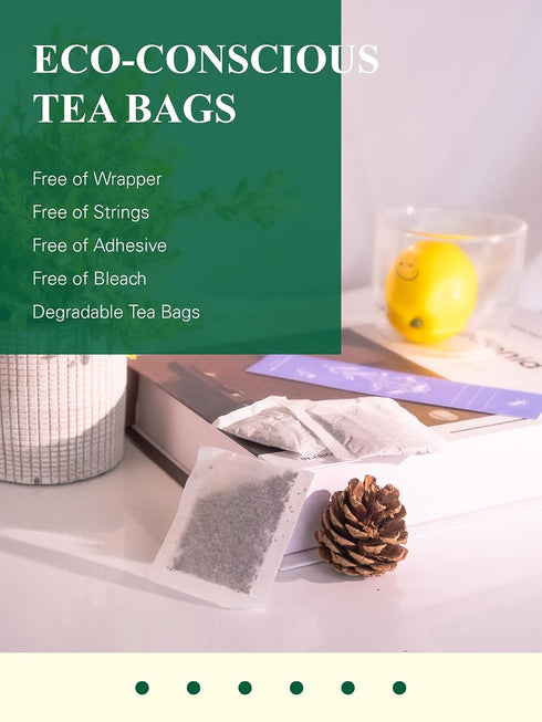 100 Count GLDNT Organic Decaf Green Tea Bags, Organic Green Tea Decaffeinated, Smooth Flavor, Super Antioxidant, Iced