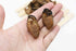 Grand Gift (250 Dried Seafood Dried Food Dried Premium Korean Oysters Free Worldwide Air Mail grams)