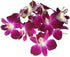 (50 Miami Fresh Orchid Flower OrchidClub USA Sunne Tropical Loose Bloom DIY Lei, food & drink decoration PURPLE)