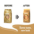 2.2 (Pack 1) ,100% Lavazza Qualit Oro Whole Bean Blend, Medium Roast, Pound of Arabica, Central America & African