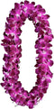 Fresh Perishable Orchid Flower D-LEI OrchidClubUSA Sunne Tropical (Purple Sonia Natural)