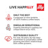 100% 8.45 Oz (Pack 1) illy Ready To Drink Coffee Cappuccino Cold Brew Cans - Notes Of Milk & Chocolate - Arabica