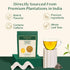 (50+ 3.53oz) 100% VAHDAM, Turmeric Ginger Herbal Tea Cups, Caffeine Free | Pure Herbal Blend - Savory & Spicy | Vacuum