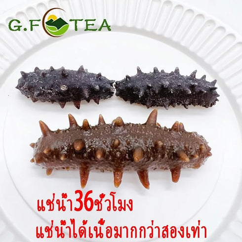 Generic 100g Premium Dried Sea Cucumber | Selected Grade A Gourmet Seafood | Traditional Asian Cooking Ingredient |