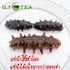 Generic 100g Premium Dried Sea Cucumber | Selected Grade A Gourmet Seafood | Traditional Asian Cooking Ingredient |