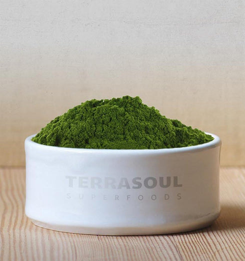 5 Oz Terrasoul Superfoods Organic Barley Grass Juice Powder, - USA Grown | Made From Concentrated Juice | Superior