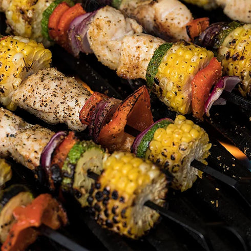23 oz 23 (Pack 2) McCormick Grill Mates Montreal Chicken Seasoning Container of_Montreal Chicken Seasoning with Blend