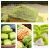 Plant Gift 100g/3.52oz 100% Spinach Powder - Green Powder for Juice, Smoothies, Soups, Baked Dishes, and Recipes, Pure