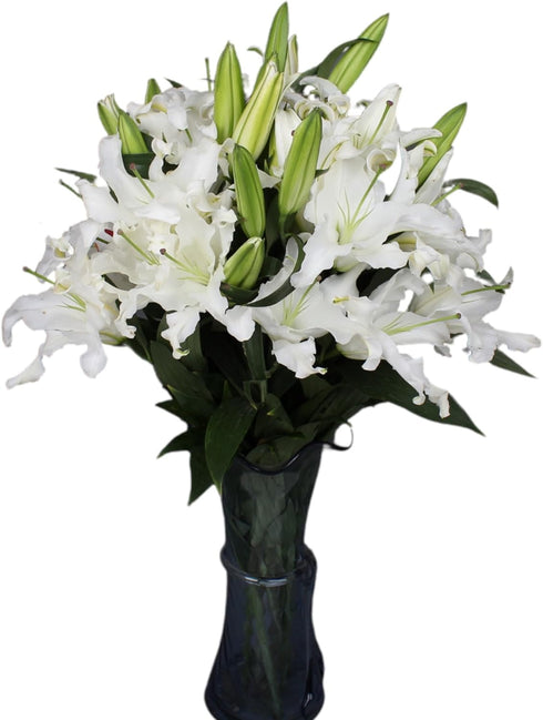 10 stems giant white lilies Fresh Flower Bouquet Gifts for Birthday Anniversary Friendship and Love