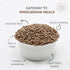 1.5 Pride Of India - Indian Whole Brown Crimson Masur Lentils - Protein & Fiber Rich Masoor Whole, Pound Jar