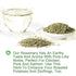 Plant Gift 100% 50G/1.76oz Natural Rosemary Tea Loose Leaf, Rosemary Seasoning, Rosemary Leaves Natural Rosemary Dried