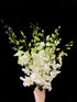 20 Elegant Stems of Fresh White Dendrobium Orchids - Perfect for Any Occasion
