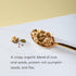 24.7 oz (Pack 1), Nature's Path Organic Pumpkin Seed + Flax Granola, of Non-GMO