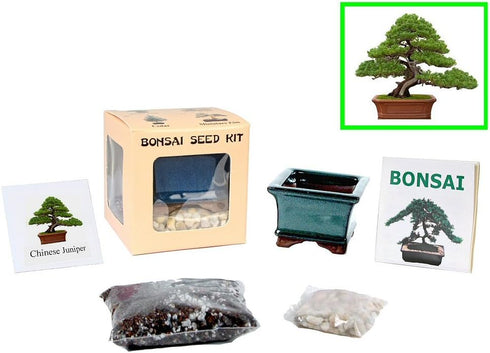 Eve's Garden, Inc Eve's Chinese Juniper Bonsai Seed Kit, Woody, Complete Kit to Grow Chinese Juniper Bonsai Tree from