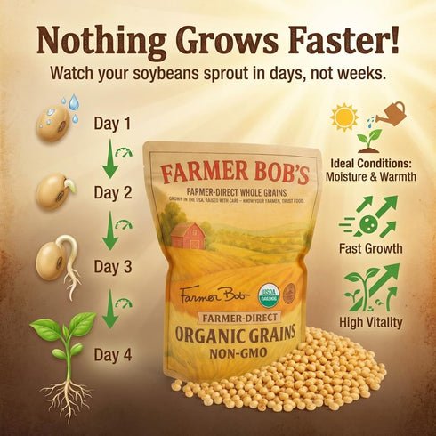 5lb Package Farmer Bob's Organic Soybeans Dry - USA Grown for Soy Milk, Tofu, Edamame - High Protein - Non-GMO